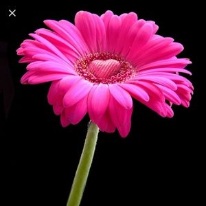 Meet your Posher, Jeannine